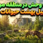 چرنوبیل بهشت حیوانات شده است؛ انتقام طبیعت از انسان در منطقه ممنوعه!