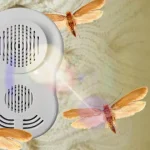 خطرناکترین حشرات ایران و جهان و راههای پیشگیری از آسیب آنها خطرناکترین حشرات ایران و جهان و راههای پیشگیری از آسیب آنها