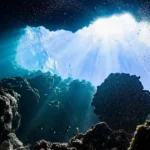 اکسیژن تاریک در اعماق دریا کشف شد