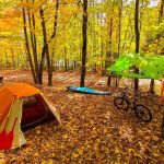 مقاصد کمپ کویری از ساحل تا جنگل؛ برای لمس پاییز باید اینجاها کمپ کنید! مقاصد کمپ کویری از ساحل تا جنگل؛ برای لمس پاییز باید اینجاها کمپ کنید!