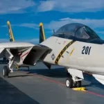 قابلیت پنهان اف ۱۴ تامکت؛ وقتی سلطان آسمان شکارچی تانک شد قابلیت پنهان اف ۱۴ تامکت؛ وقتی سلطان آسمان شکارچی تانک شد