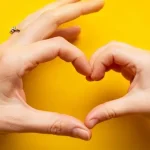 بسته هدیه روز مادر ایرانسل ۱۴۰۴؛ اینترنت و مکالمه با قیمت طلایی بسته هدیه روز مادر ایرانسل ۱۴۰۴؛ اینترنت و مکالمه با قیمت طلایی