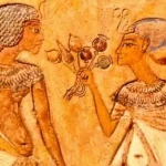 کشف عجیب درباره مصریان باستان: آنها روزانه «تریاک» مصرف میکردند! کشف عجیب درباره مصریان باستان: آنها روزانه «تریاک» مصرف میکردند!