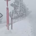 برف و کولاک شدید: مسدود شدن جاده مشهد-کلات و تربت جام-صالح آباد برف و کولاک شدید: مسدود شدن جاده مشهد-کلات و تربت جام-صالح آباد