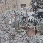 اولین بارش برف پاییزی در تهران + فیلم اولین بارش برف پاییزی در تهران + فیلم