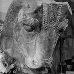 از تخت‌جمشید تا شیکاگو؛ داستان سفر گاو سنگی هخامنشی!