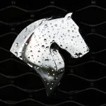 ثبت‌نام فروش فوری ایران‌خودرو روی هوا رفت / مردم بخوانند