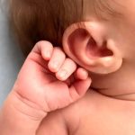 خوردن زعفران منجر به سقط جنین می شود؟ خوردن زعفران منجر به سقط جنین می شود؟