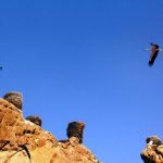 دودکش جنی و قلعه لکلکها ثبت ملی شدند دودکش جنی و قلعه لکلکها ثبت ملی شدند