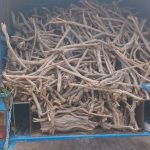 کشف و ضبط یک تُن چوب قاچاق در فلاورجان