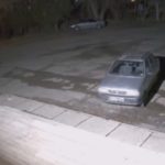 لحظه عجیب حمله گرگ به یک دانشجو در محوطه دانشگاه زنجان + فیلم