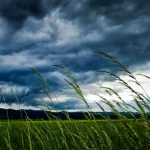 افزایش دما و غبار محلی در انتظار تهران