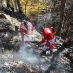 آتشسوزی جنگلهای سوادکوه پس از ۲۴ ساعت مهار شد آتشسوزی جنگلهای سوادکوه پس از ۲۴ ساعت مهار شد