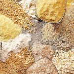 چگونگی کاهش قیمت تمام‌شده نهاده‌های دامی/ منتظر تعیین تکلیف بدهی دولت هستیم