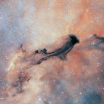 عکس روز ناسا از یک روح تاریک