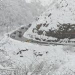 بارش سنگین برف امشب در جاده چالوس+ فیلم