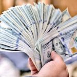 حذف ارز ترجیحی، رانت را مهار کرد