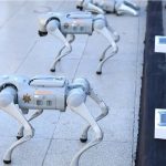 تامین امنیت جام جهانی ۲۰۲۶ با کمک سگ‌های رباتیک