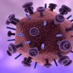 هشدار درباره ویروس نیپا / پاندمی جدید در راه است؟