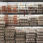 تخم‌مرغ هم پر کشید/ قیمت هر کیلو تخم مرغ چند شد؟