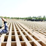  مکان قبر سربازان آمریکایی مشخص شد