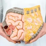 لیست بهترین ویتامینها برای تقویت دستگاه گوارش لیست بهترین ویتامینها برای تقویت دستگاه گوارش