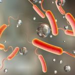 جزئیات تازه از موارد بیماری «وبا» در کشور/ ۲ زن و ۳ مرد مبتلا شدند جزئیات تازه از موارد بیماری «وبا» در کشور/ ۲ زن و ۳ مرد مبتلا شدند