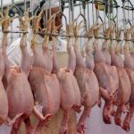 قیمت مصوب مرغ اسفند ۱۴۰۴ اعلام شد / بالاتر از این قیمت نخرید قیمت مصوب مرغ اسفند ۱۴۰۴ اعلام شد / بالاتر از این قیمت نخرید