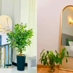 آینه قدی مناسب دکور مینیمال؛ ۱۵ مدل خاص و الهام‌بخش برای زیباسازی خانه‌های امروزی