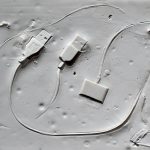 وقتی ما فسیل خواهیم شد؛ باستان شناسان آینده درباره ما چه میگویند؟ وقتی ما فسیل خواهیم شد؛ باستان شناسان آینده درباره ما چه میگویند؟