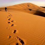 ورود به کویر مرنجاب و سیازگه در شبهای قدر ممنوع شد ورود به کویر مرنجاب و سیازگه در شبهای قدر ممنوع شد