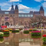 نبض تجارت جهانی گل؛ اینجا روزانه ۴۳ میلیون شاخه گل معامله می‌شود!