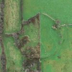 زمزمههای خاک؛ چگونه افسانههای محلی راز گورستانهای گمشده را فاش کردند زمزمههای خاک؛ چگونه افسانههای محلی راز گورستانهای گمشده را فاش کردند