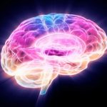 دانشمندان پروتئینی را کشف کردند که سلول‌های پیر مغز را جوان می‌کند