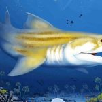 کوسههای ۳۲۵ میلیون ساله دوباره پیدا شدند؛ غار ماموت، شگفتی جهان کوسههای ۳۲۵ میلیون ساله دوباره پیدا شدند؛ غار ماموت، شگفتی جهان