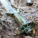 درخشش دوباره شمشیر سه هزار ساله؛ پرده‌برداری از اسرار عصر برنز